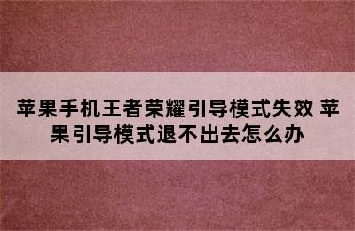 苹果手机王者荣耀引导模式失效 苹果引导模式退不出去怎么办